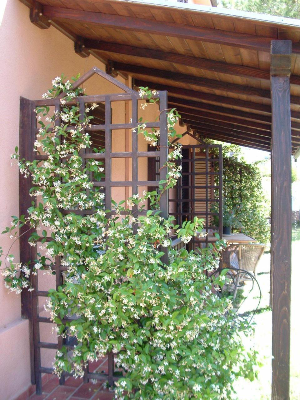 Agriturismo Pian Dei Pini مونتيانو المظهر الخارجي الصورة