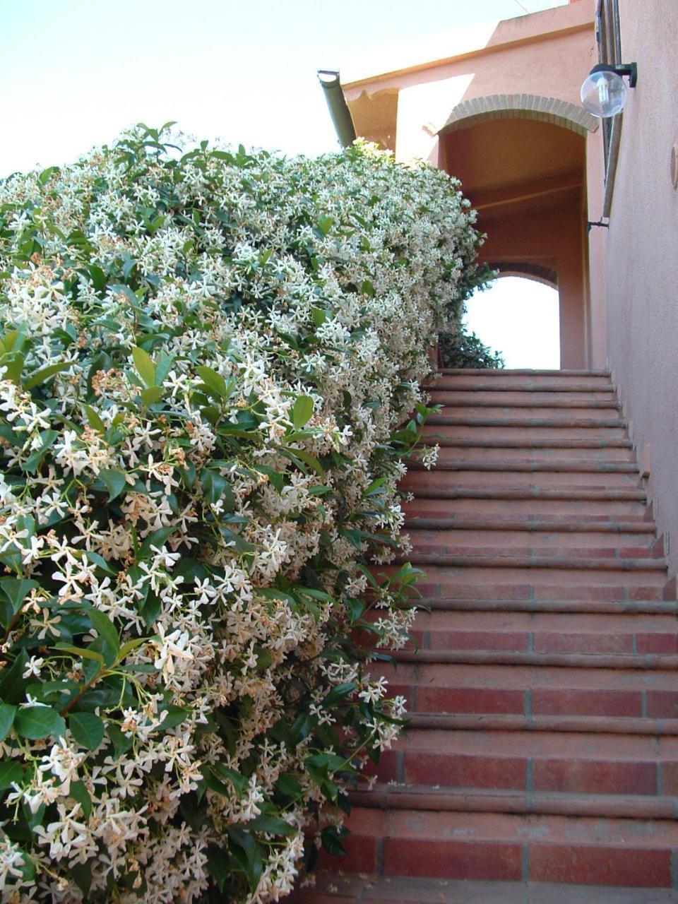 Agriturismo Pian Dei Pini مونتيانو المظهر الخارجي الصورة