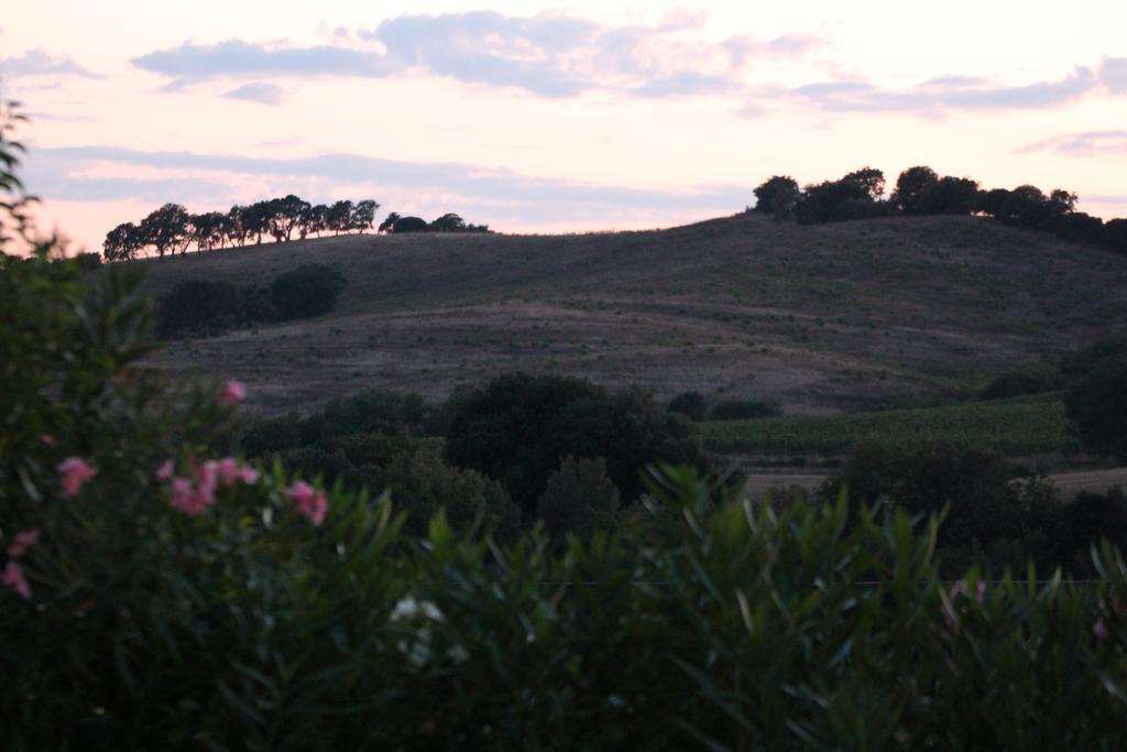 Agriturismo Pian Dei Pini مونتيانو المظهر الخارجي الصورة