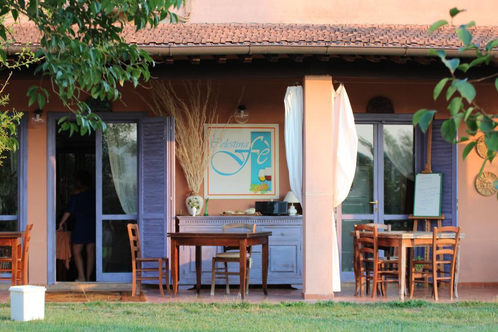 Agriturismo Pian Dei Pini مونتيانو المظهر الخارجي الصورة