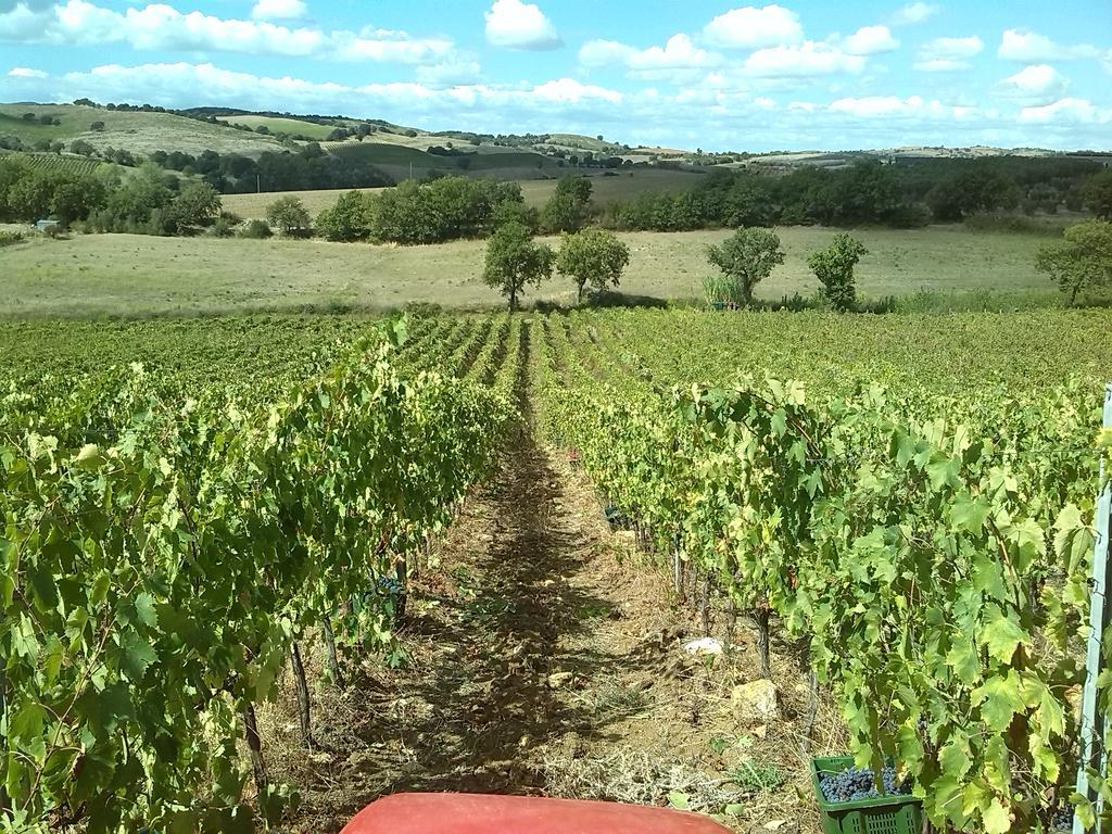 Agriturismo Pian Dei Pini مونتيانو المظهر الخارجي الصورة